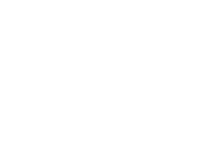 The Rowan Logo - Special Banner