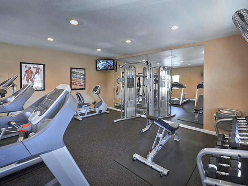 Apartments in Denver, CO