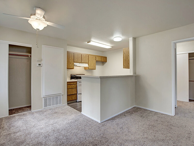 Kitchen Counter with Ceiling Lights and Closet | Arborelle Apartments