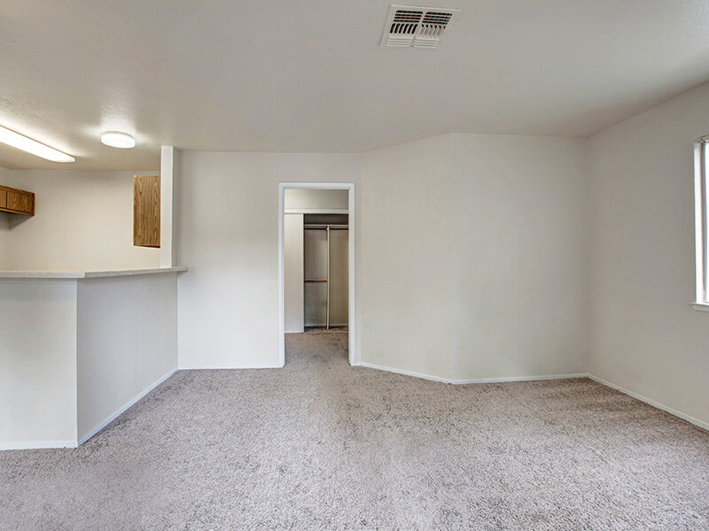 Living Room with Counter | Arborelle Apartments