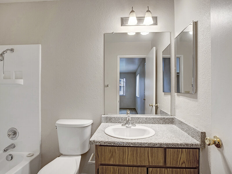 Bathroom with Kitchen Sink and Mirror | Arborelle Apartments