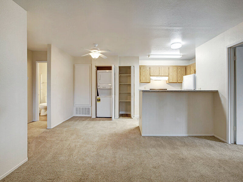 Living Room and Dining Room with Washer and Dryer | Arborelle Apartments