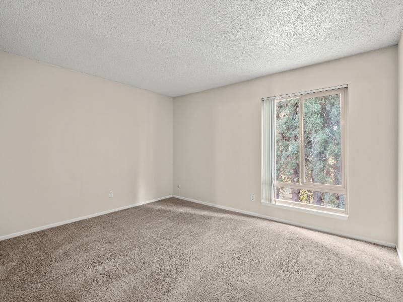 Bedroom with Abundant Natural Lighting | Shenandoah