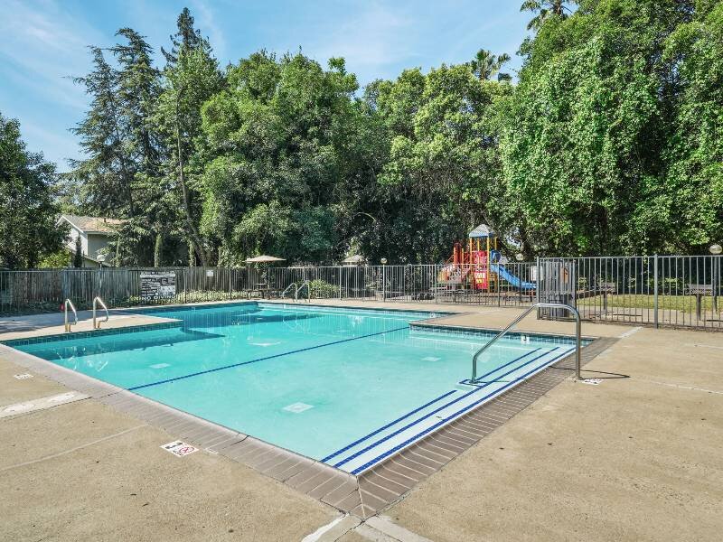 Swimming Pool | Shenandoah