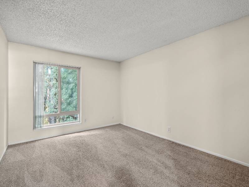 Bedroom with Large Window | Shenandoah