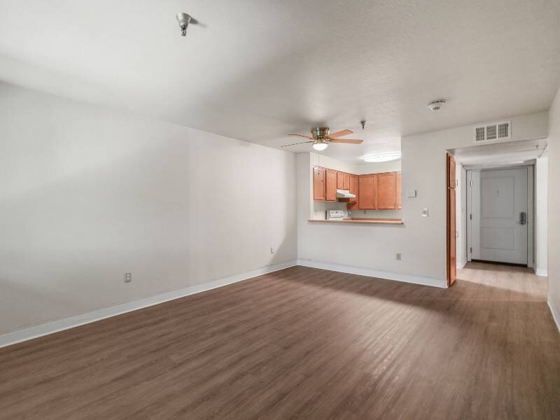 Wood Like Flooring Throughout | Albert Einstein Apartments
