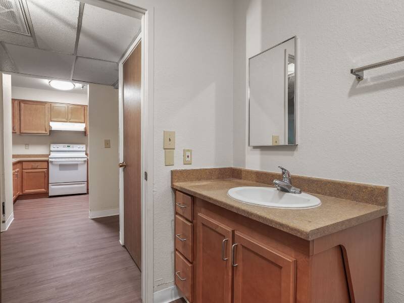 Bathroom Vanity | Albert Einstein Apartments