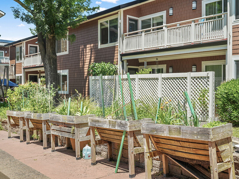 Exterior Communal Garden |  Parnow Friendship House