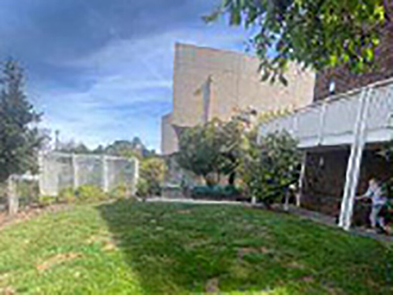 Outdoor Views of Apartment Complex with Foliage |  Parnow Friendship House