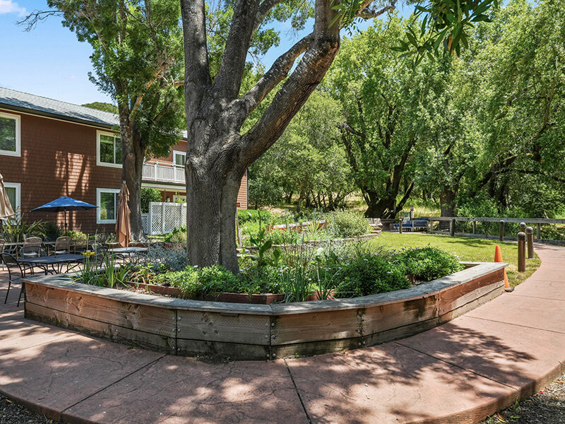 Breathtaking Views with Patio Seating and Umbrella |  Parnow Friendship House