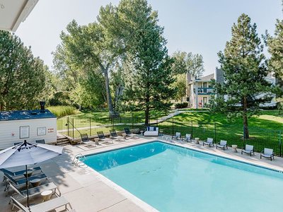Pool with Lounge Chairs | Kallisto at Bear Creek 80227 Apartments