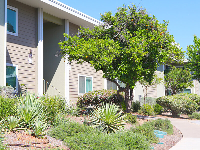 Outdoor View of Apartment Complex with Foiliage | Broadway Apartments