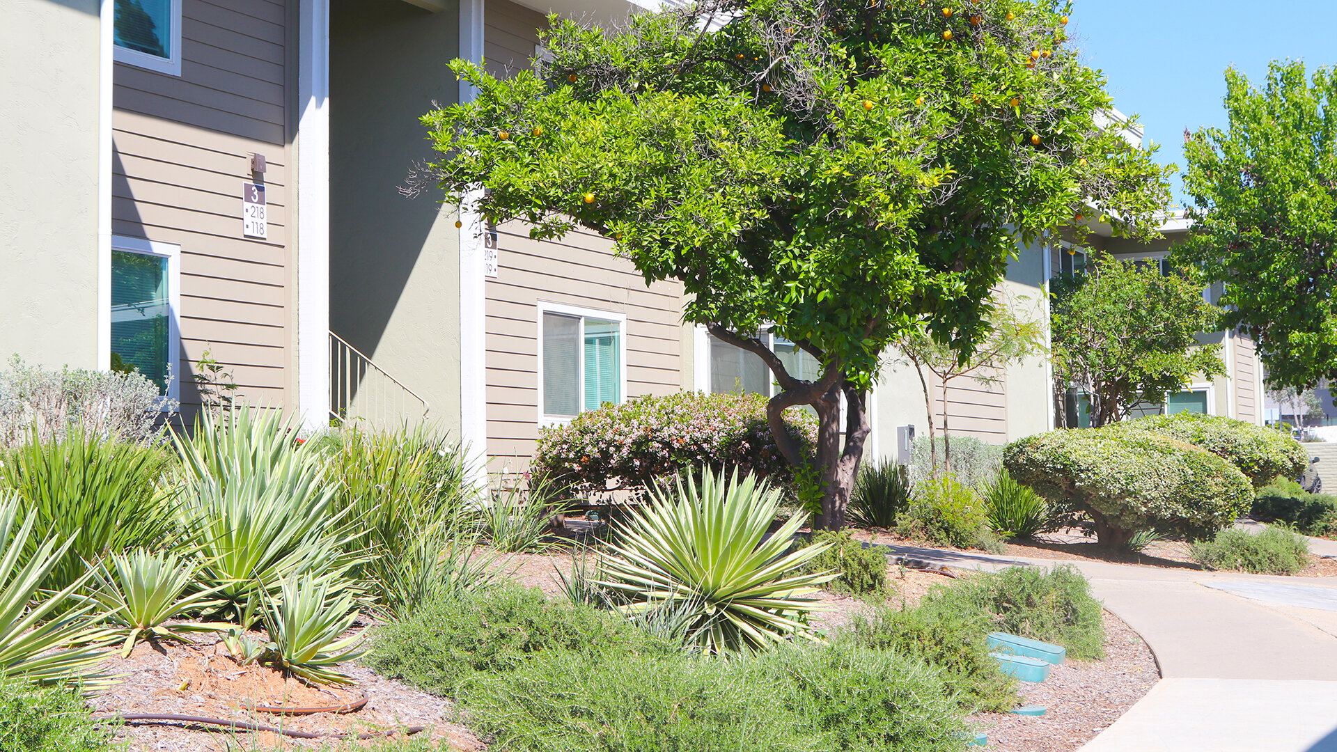 Broadway Apartments Amenities