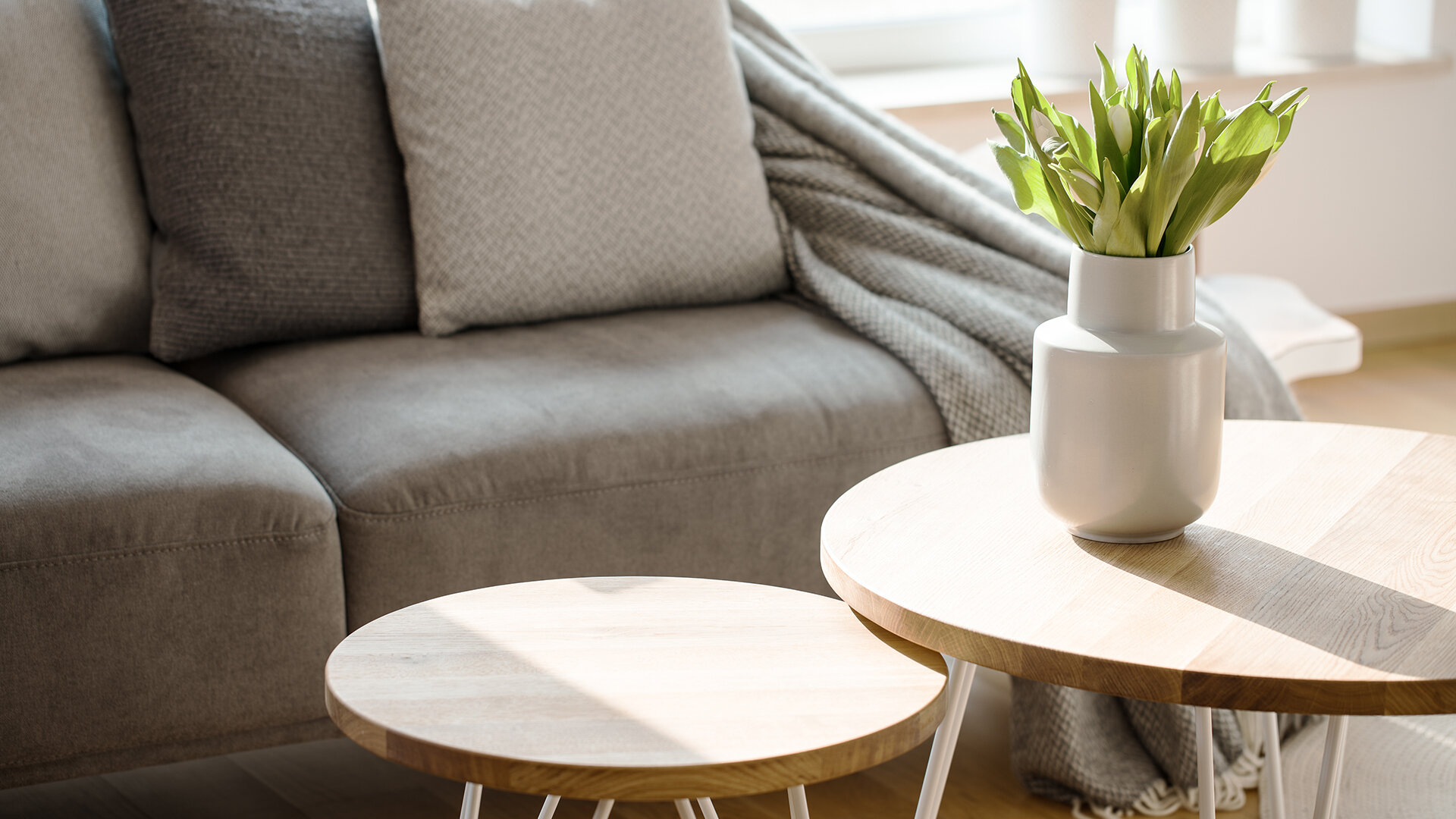 Montecito Village Apartments Amenities