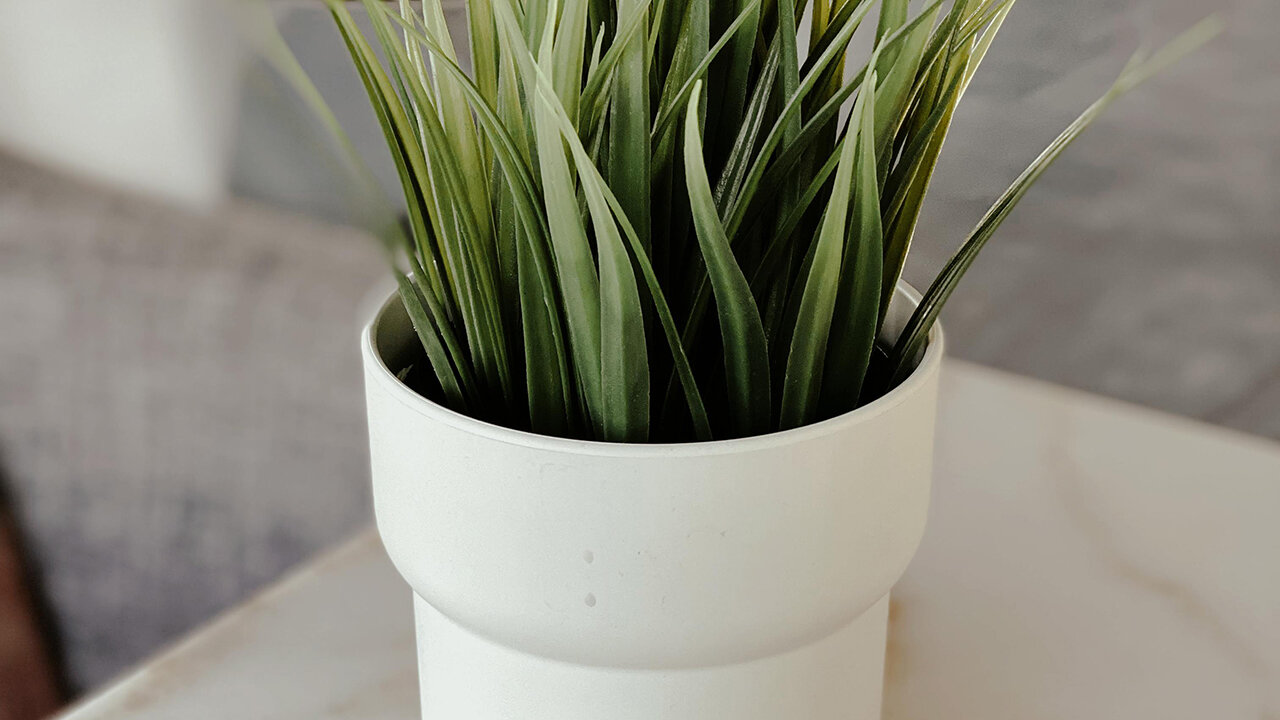 Montecito Village Apartments, a great place to live