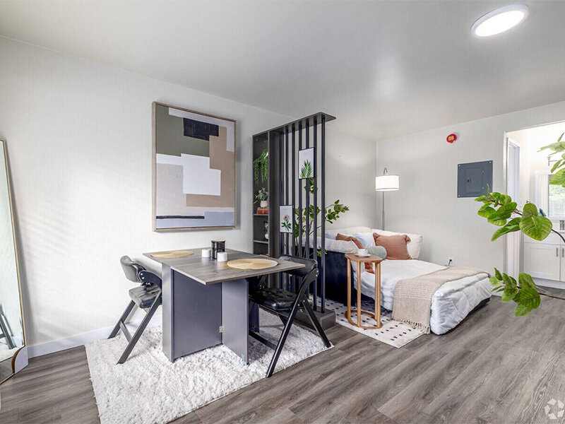 Spacious Studio Apartments | Springwood Apartments