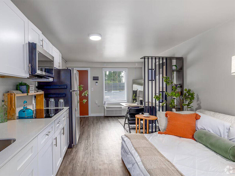 Studio Apartments for Rent | Springwood Apartments