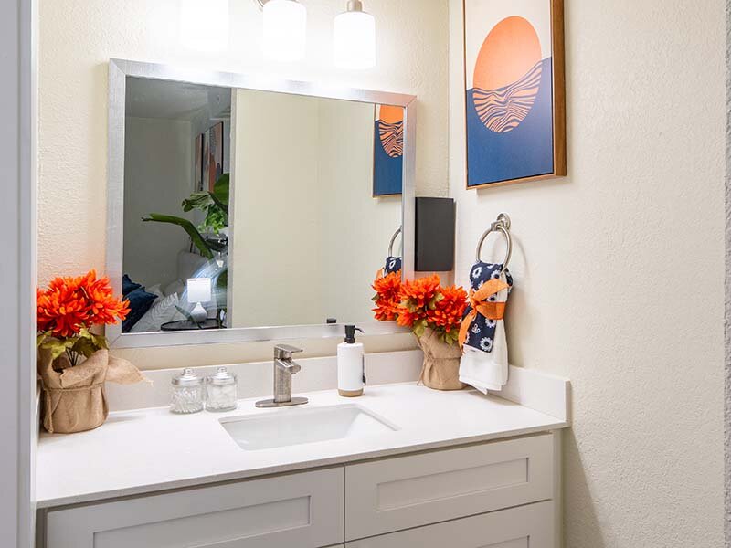 Bathroom Vanity | Broad View Apartments