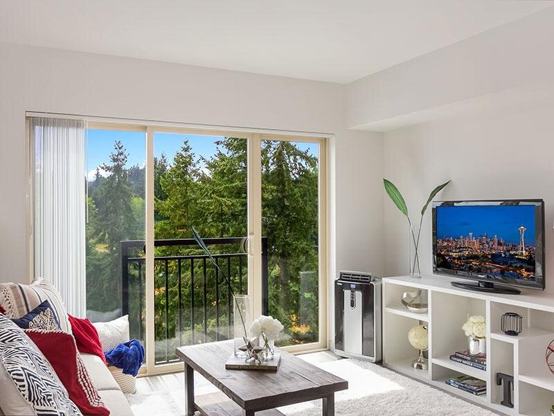 Living Room with Television and Window | Tria