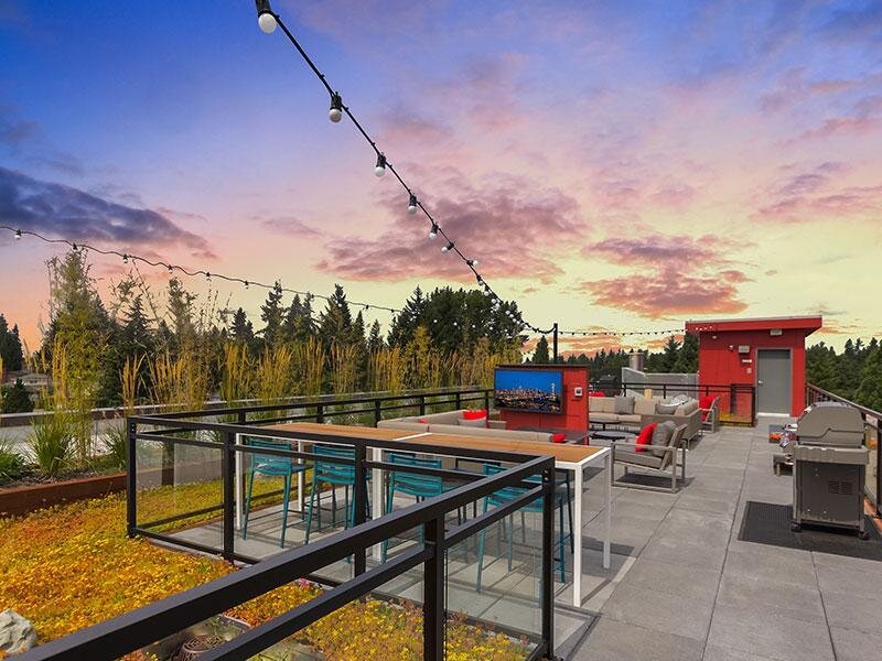 Rooftop View with Outdoor Seating and BBQ Grill | Tria