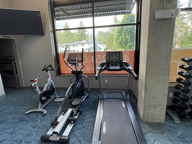 Treadmill with Television | Tria
