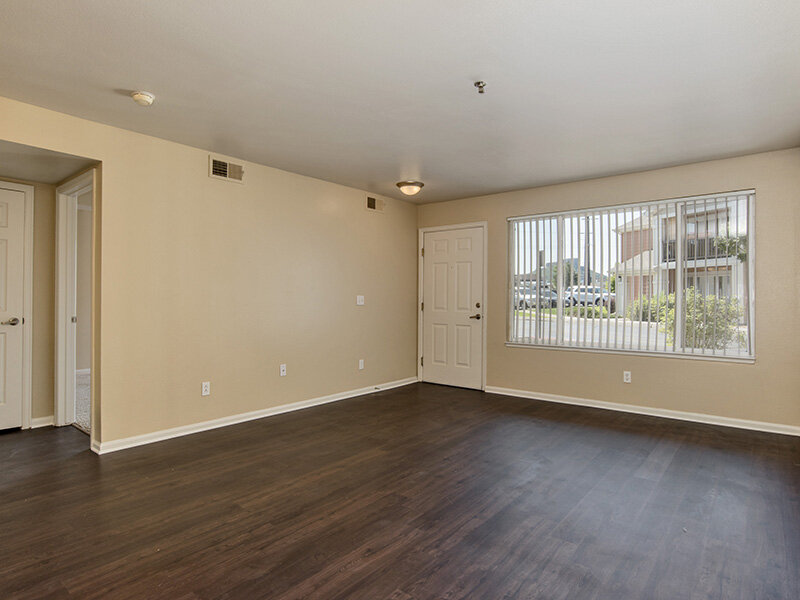 Entrance to Apartment with Window and Wood Style Flooring | The Bluffs at Castle Rock