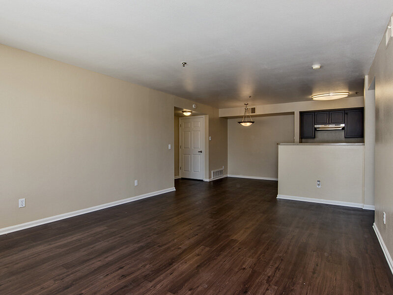 Open Kitchen with Ceiling Lights and Wood Style Flooring | The Bluffs at Castle Rock