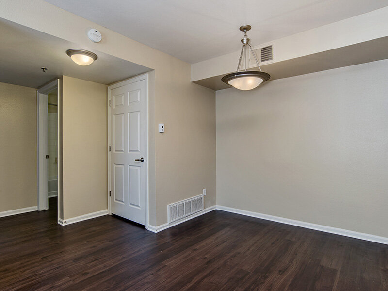 Living Room with Ceiling Light and Closet | The Bluffs at Castle Rock