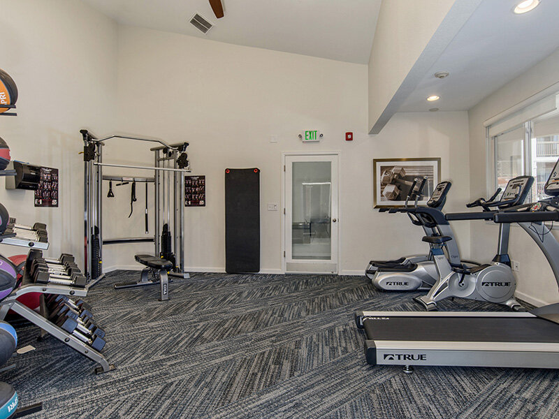 Fitness Center with Carpeted Flooring | The Bluffs at Castle Rock