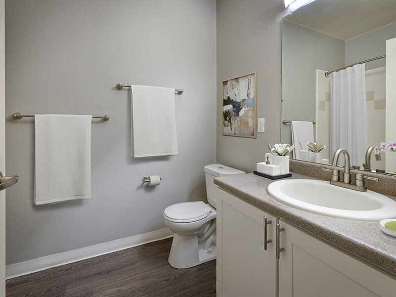 Bathroom | Westridge Apartments