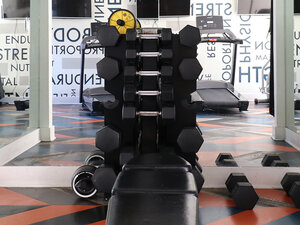 Weights | The Parker