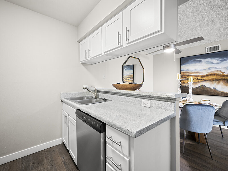 Dishwasher with Kitchen Sink and Marble Styled Countertops | Rosemont West 84th