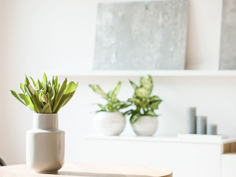 771 South Apartments in Salt Lake City