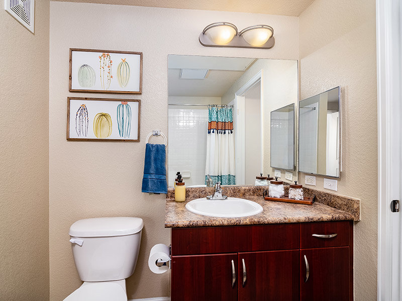 Bathrooms | Arista Flats Apartments for Rent in Broomfield, CO