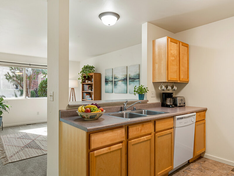 Kitchen with Wood Style Cabinets and Ceiling Light | Kagy Village