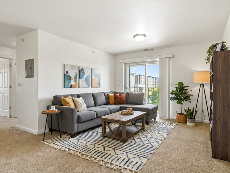 Living Room with Couch and Ceiling Light and Window | Kagy Village