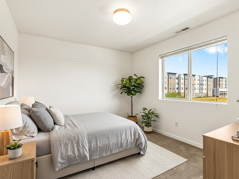 Bedroom with Ceiling Light and Window on Carpeted Flooring | Kagy Village