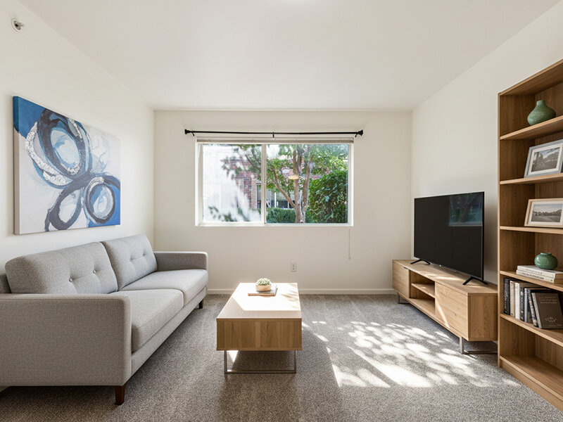 Living Room with Window and Carpeted Flooring | Kagy Village