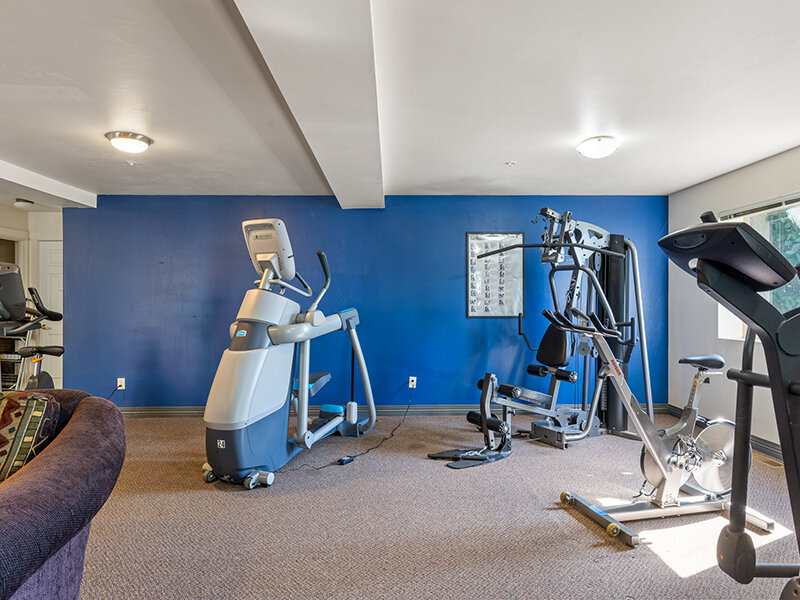 Gym with Eliptical Machines and Window | Kagy Village