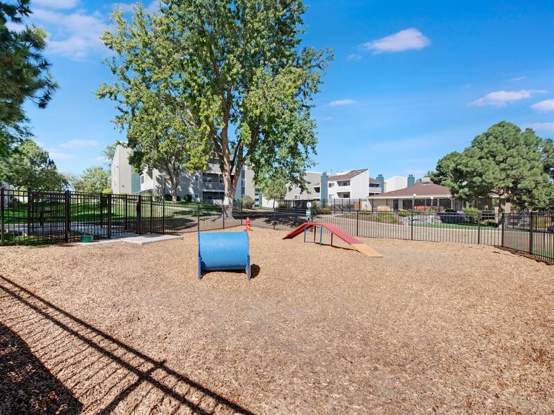 Pet Park | The Grove at City Center
