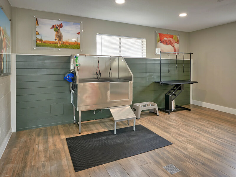 Pet Was Station | Alton Green Apartments