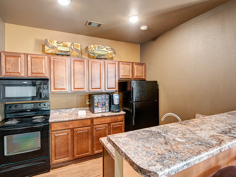 Apartment Kitchen with Kitchen Sink and Wood Styled Cabinets | The Willows at Printers Park Apartments