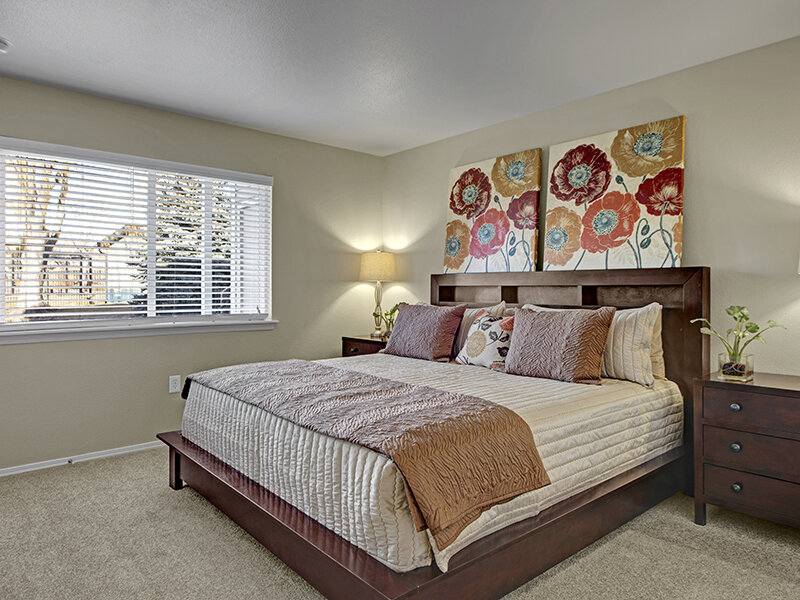 Apartment Bedroom with Window and Carpeted Flooring | The Willows at Printers Park Apartments