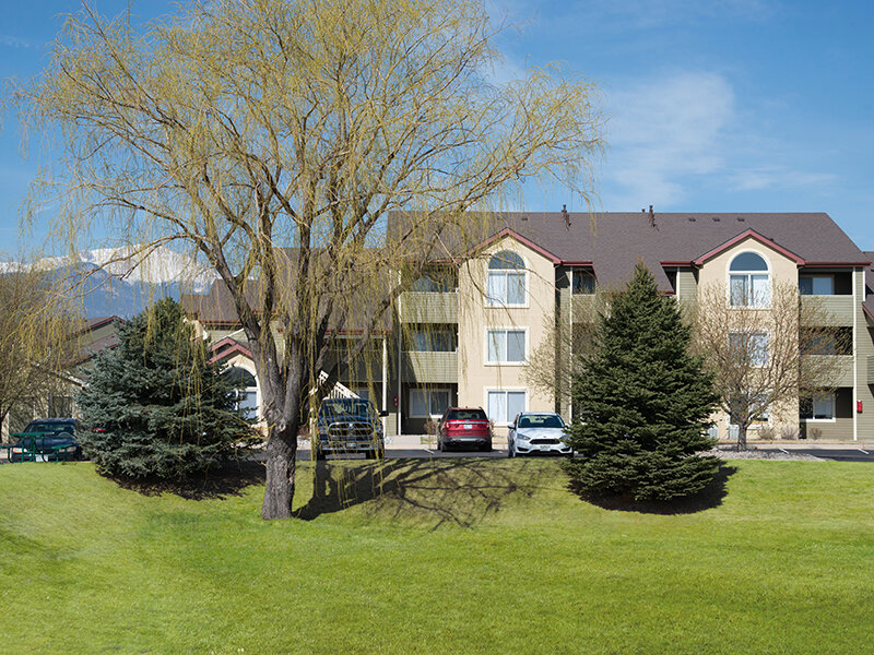 Outdoor View of Apartment Complex with Trees and Foliage | The Willows at Printers Park Apartments