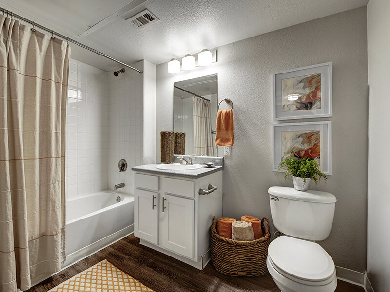 Apartment Bathroom with Mirror and Shower | The Willows at Printers Park Apartments