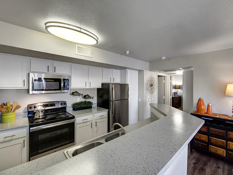 Apartment Kitchen with Ceiling Light and Marble Styled Countertops | The Willows at Printers Park Apartments