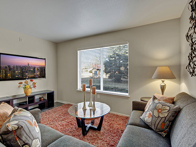 Apartment Living Room with Window and Sofa | The Willows at Printers Park Apartments
