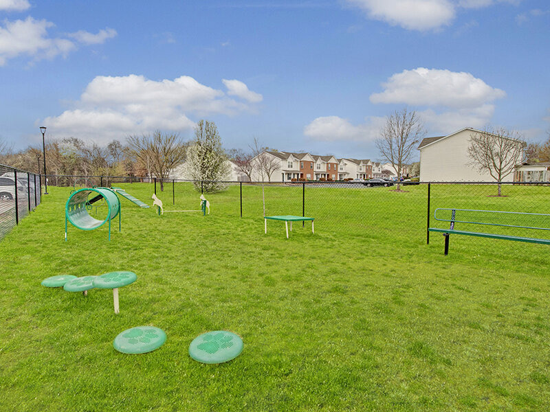 Apartment Complex Walk Dog Park | Merchants Walk