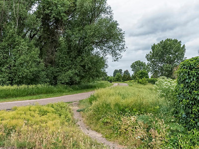 Walking Paths | Willow Point Townhomes in Denver, CO