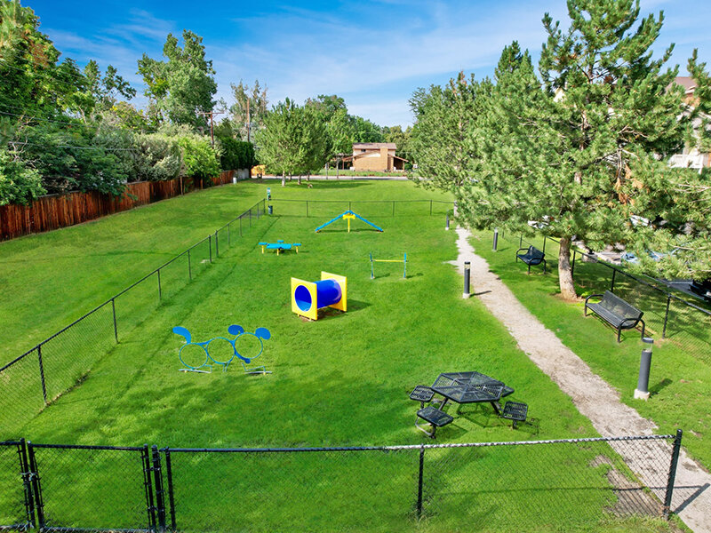 Dog Park | Bear Valley Park
